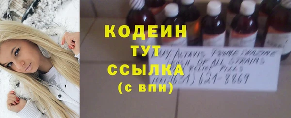 СК Пересвет